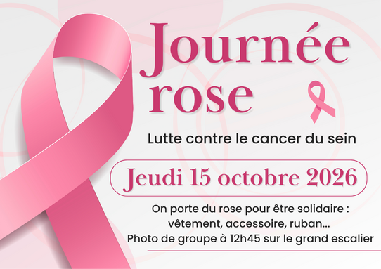 Journée rose.png